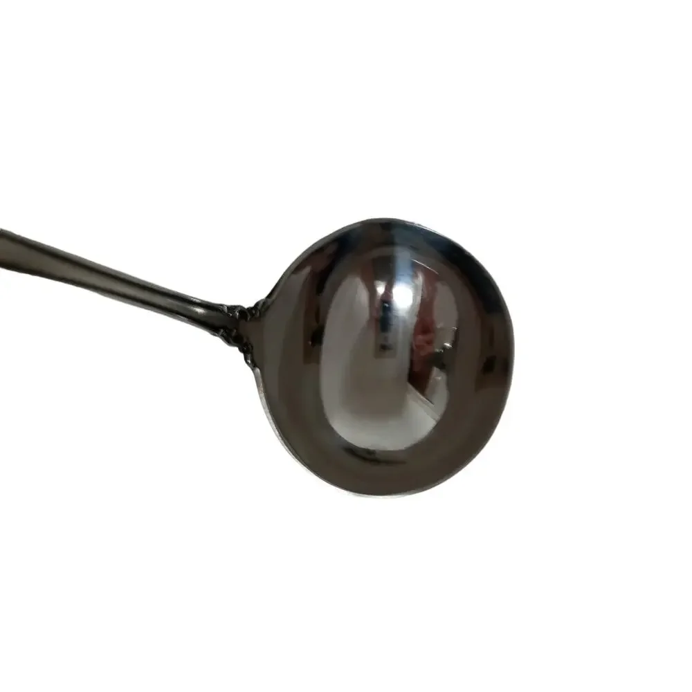Vintage Lyons Queen Fancy Serving Spoon and Gravy Ladle Stainless Steele 1970s